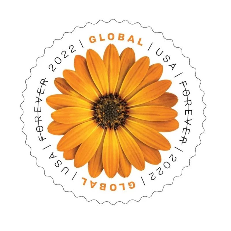 African Daisy Stamps 2022