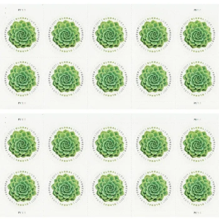 2017 Global Green Succulent