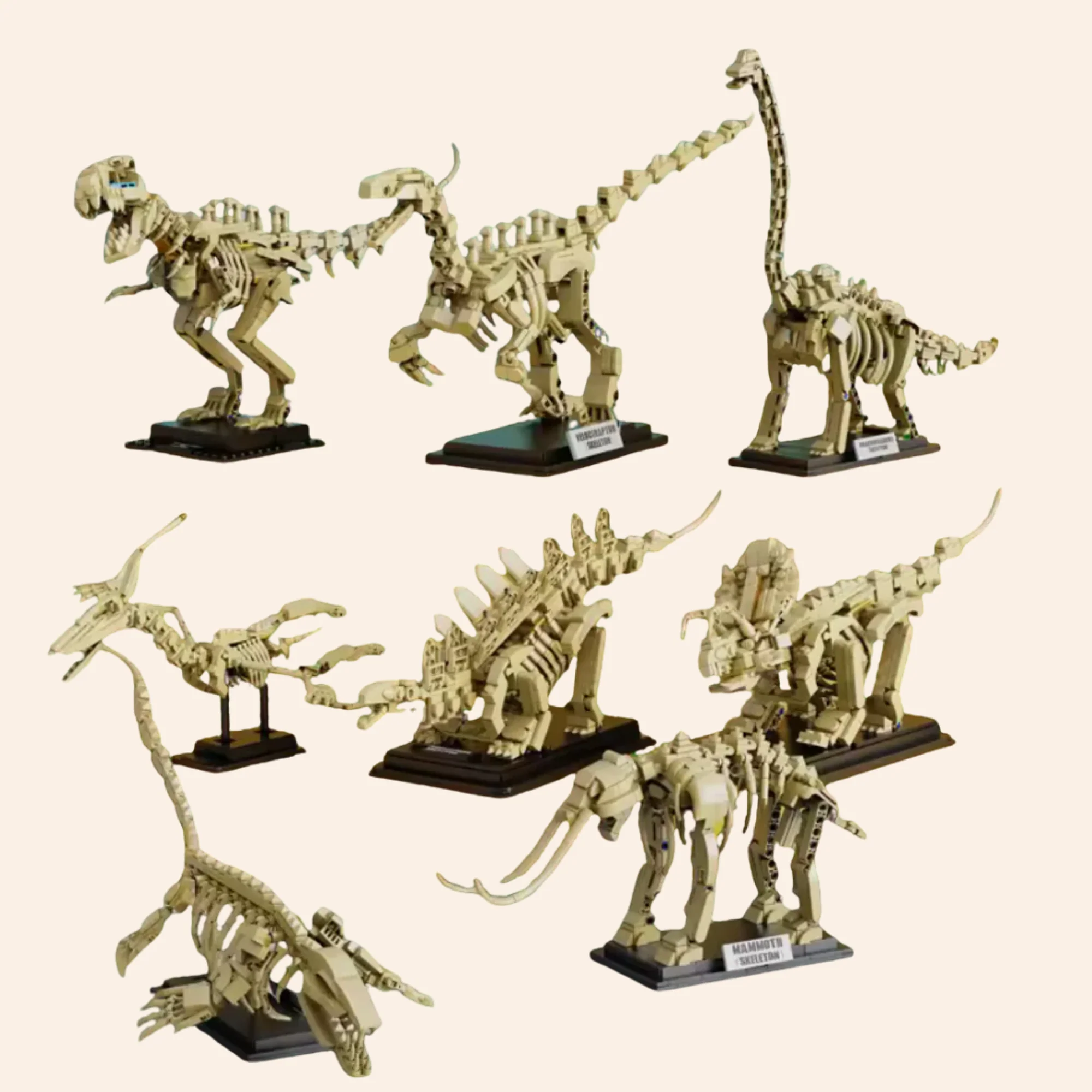 Dinosaur Fossils 6001